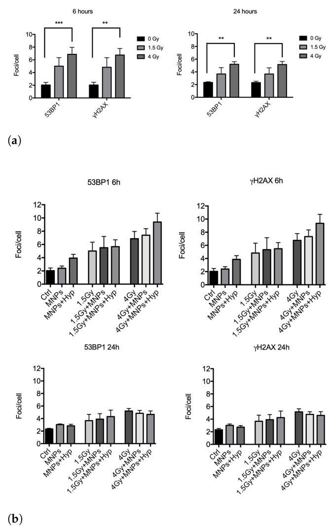 https://cdn.ncbi.nlm.nih.gov/pmc/blobs/7538/10005040/e2024e9118d0/nanomaterials-13-00791-g004.jpg