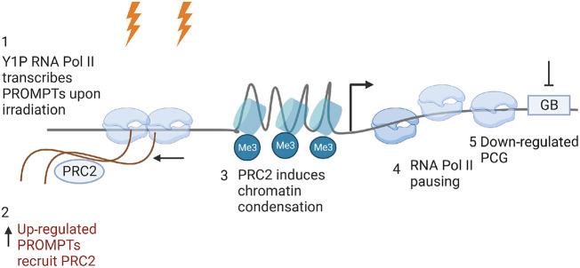https://cdn.ncbi.nlm.nih.gov/pmc/blobs/7539/10984383/c4d9e82ed39a/201f07.jpg