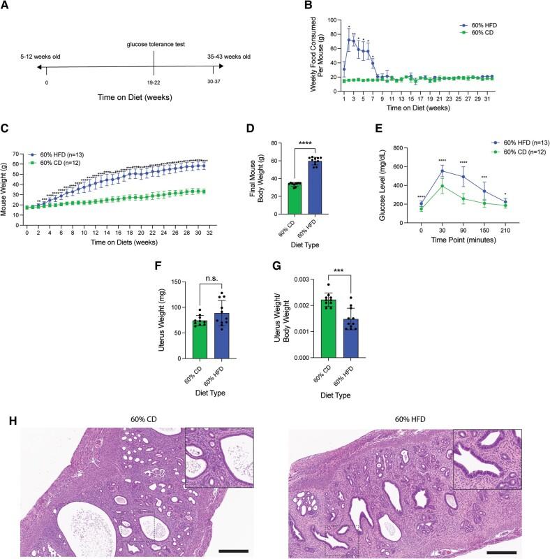 https://cdn.ncbi.nlm.nih.gov/pmc/blobs/7539/11156617/76848fe04ecf/bvae104f5.jpg