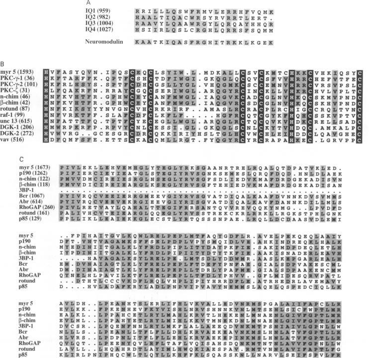 https://cdn.ncbi.nlm.nih.gov/pmc/blobs/753a/398134/0cf325e62777/emboj00028-0079-a.jpg