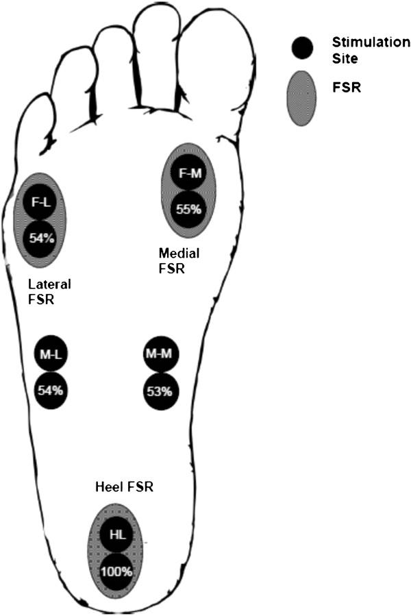 https://cdn.ncbi.nlm.nih.gov/pmc/blobs/753e/4158001/79f87638bcba/2052-1847-6-33-1.jpg