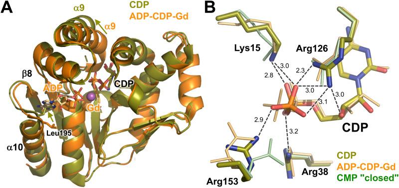 https://cdn.ncbi.nlm.nih.gov/pmc/blobs/753e/7259600/159c8445cdc7/pone.0233689.g010.jpg