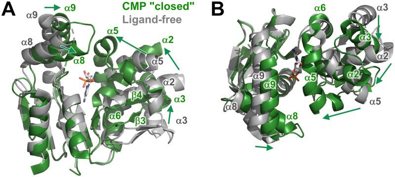 https://cdn.ncbi.nlm.nih.gov/pmc/blobs/753e/7259600/b2d9660985b2/pone.0233689.g004.jpg