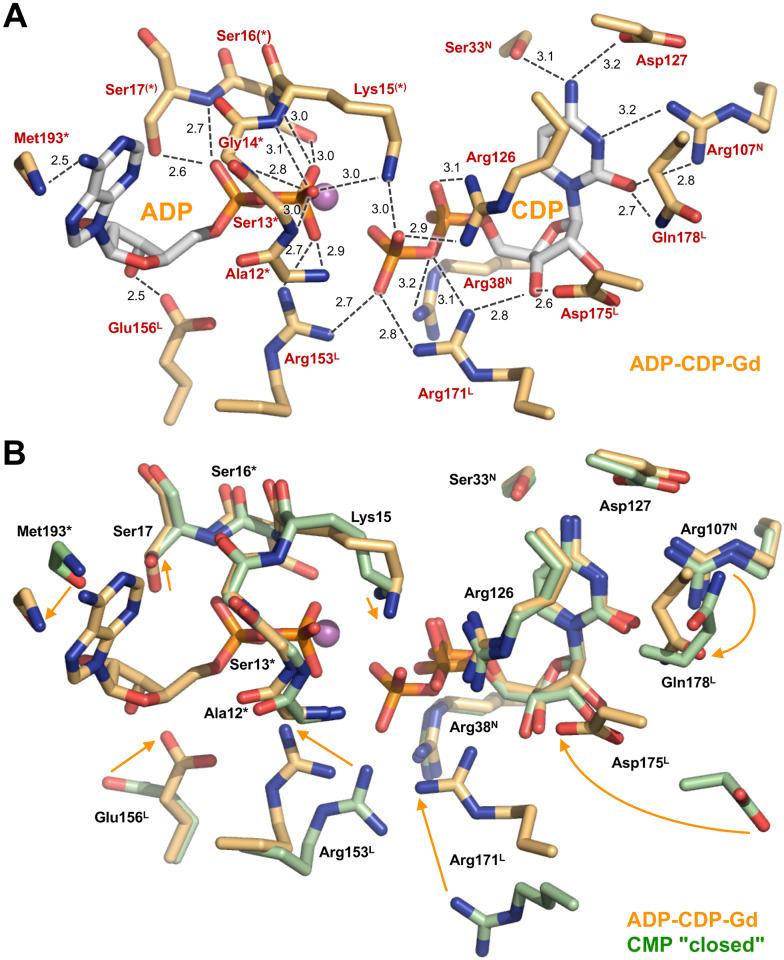 https://cdn.ncbi.nlm.nih.gov/pmc/blobs/753e/7259600/b7ce122923af/pone.0233689.g008.jpg