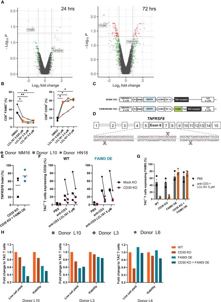 https://cdn.ncbi.nlm.nih.gov/pmc/blobs/7541/10150108/be5efa1cf55b/fimmu-14-1179827-g003.jpg