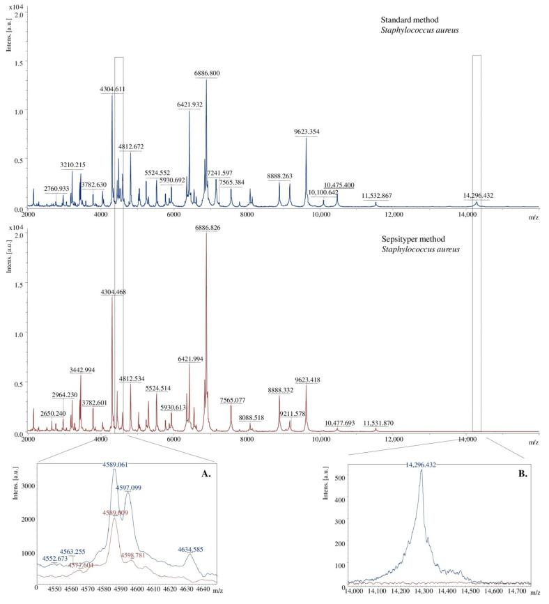 https://cdn.ncbi.nlm.nih.gov/pmc/blobs/7542/8402041/ee6af1953f5b/molecules-26-05007-g004.jpg
