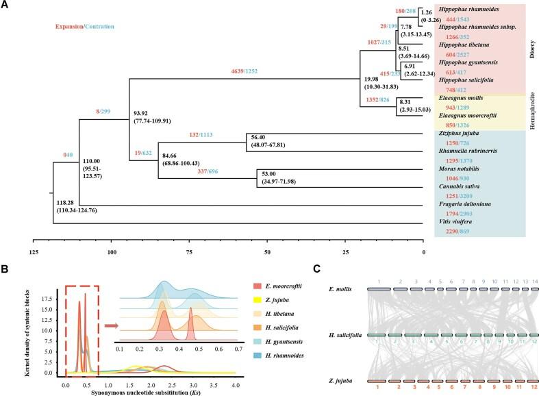 https://cdn.ncbi.nlm.nih.gov/pmc/blobs/7543/12218201/f153982e5fc0/giaf046fig2.jpg