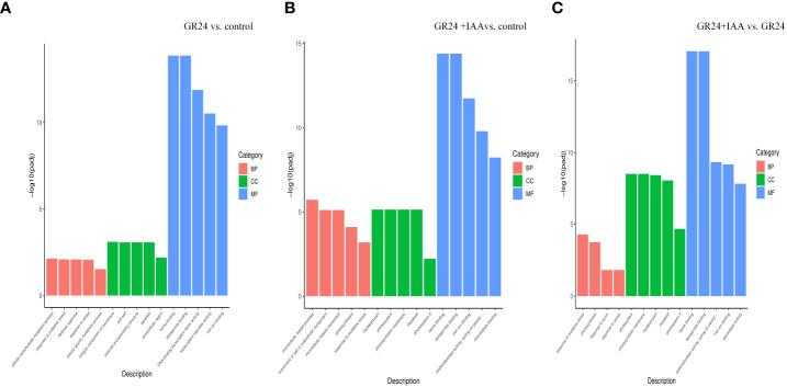 https://cdn.ncbi.nlm.nih.gov/pmc/blobs/7544/10292653/f695675a7d7d/fpls-14-1192340-g003.jpg