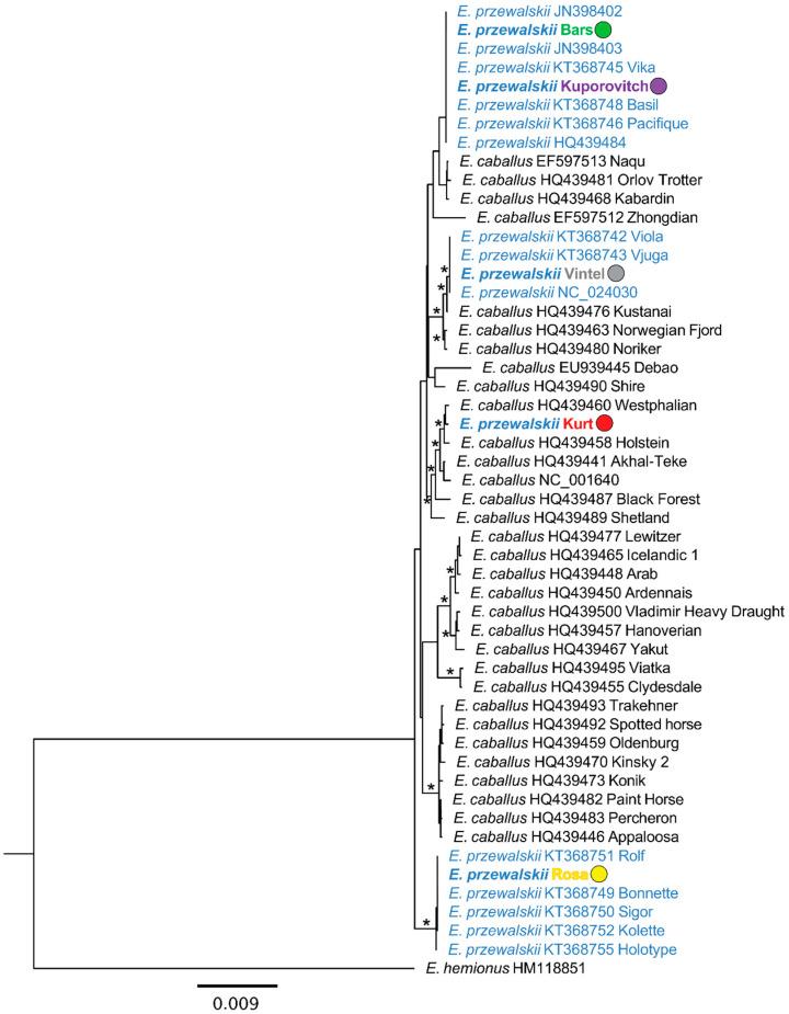 https://cdn.ncbi.nlm.nih.gov/pmc/blobs/7544/11898140/19a05b9690eb/animals-15-00613-g003.jpg