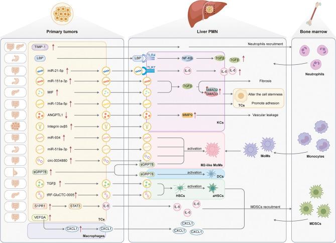 https://cdn.ncbi.nlm.nih.gov/pmc/blobs/7546/11562679/c444e2f0ccaa/12943_2024_2171_Fig2_HTML.jpg