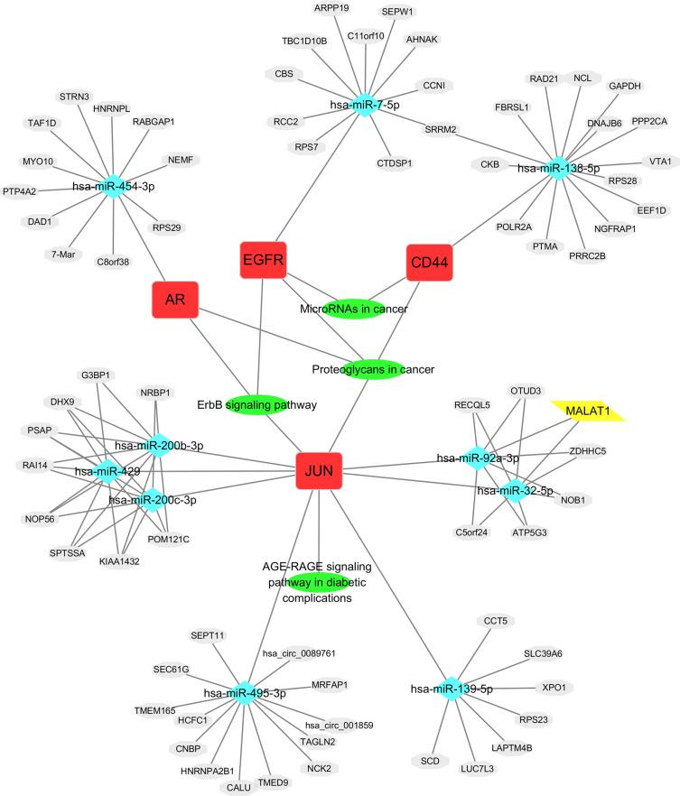 https://cdn.ncbi.nlm.nih.gov/pmc/blobs/7546/7873026/f6d94863178b/OTT-14-857-g0006.jpg