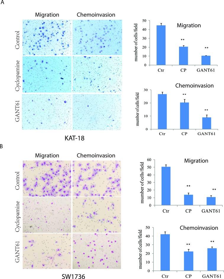 https://cdn.ncbi.nlm.nih.gov/pmc/blobs/7549/4891133/241dcfe3aba5/oncotarget-07-10472-g001.jpg