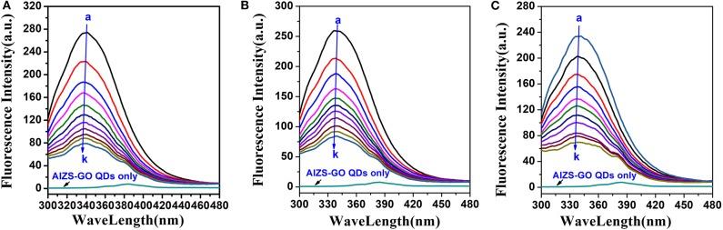 https://cdn.ncbi.nlm.nih.gov/pmc/blobs/7549/7215081/39b9dbcd579c/fchem-08-00331-g0002.jpg