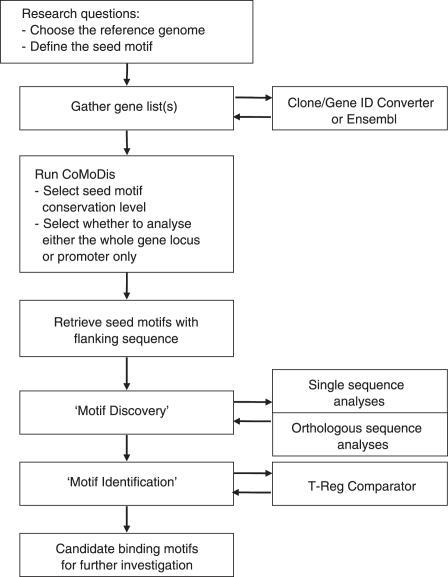 https://cdn.ncbi.nlm.nih.gov/pmc/blobs/754b/1802575/2b506b253f48/gkl839f1.jpg