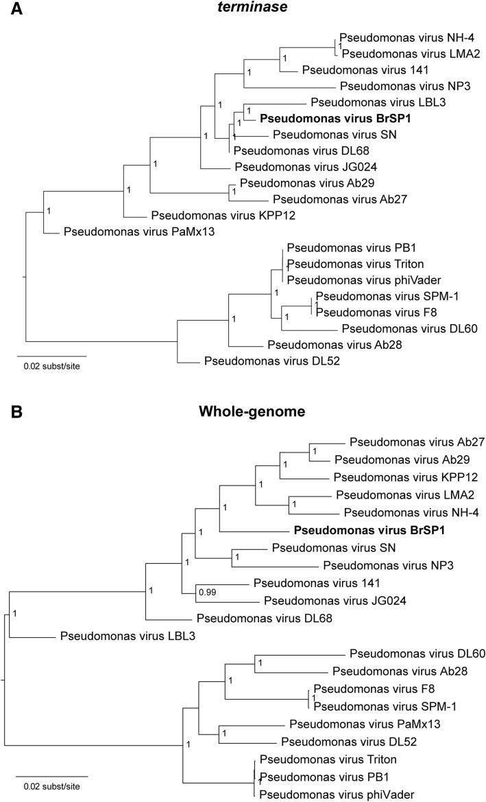 https://cdn.ncbi.nlm.nih.gov/pmc/blobs/754c/6580649/9c794683ce19/12866_2019_1481_Fig5_HTML.jpg