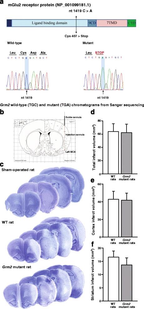 https://cdn.ncbi.nlm.nih.gov/pmc/blobs/754e/5562974/9c58c30de633/13041_2017_319_Fig5_HTML.jpg