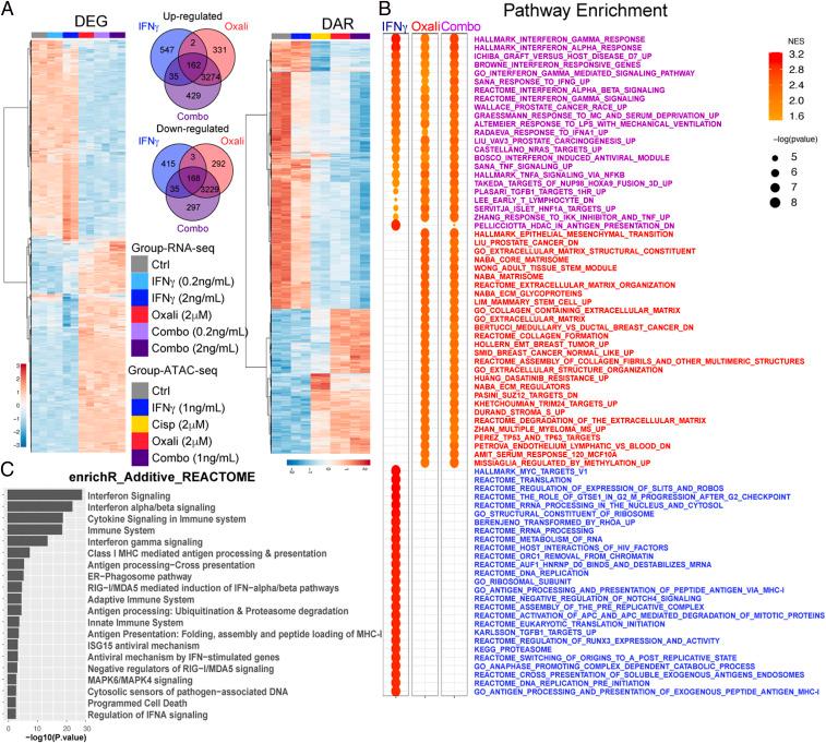 https://cdn.ncbi.nlm.nih.gov/pmc/blobs/754e/7923353/0209725a6650/pnas.2025840118fig01.jpg