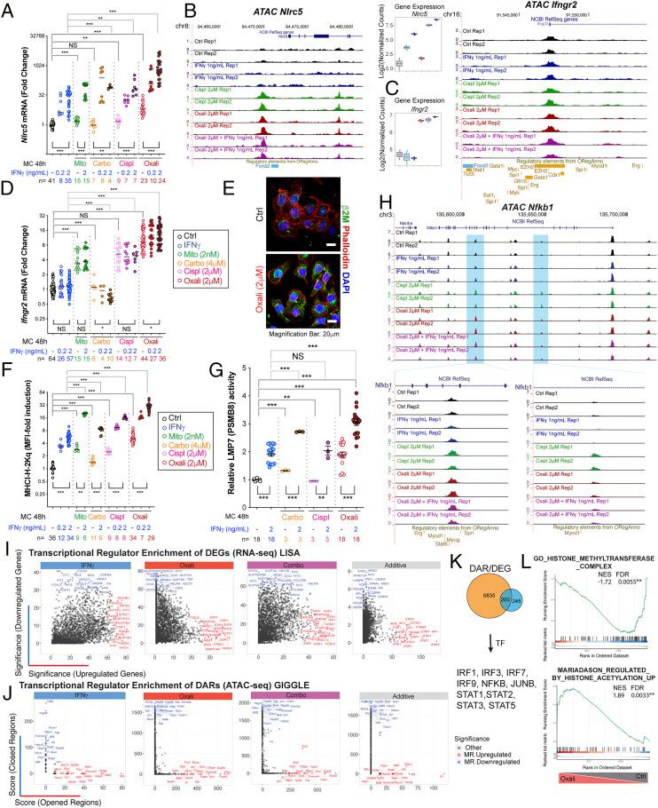 https://cdn.ncbi.nlm.nih.gov/pmc/blobs/754e/7923353/0cc15f0df364/pnas.2025840118fig02.jpg