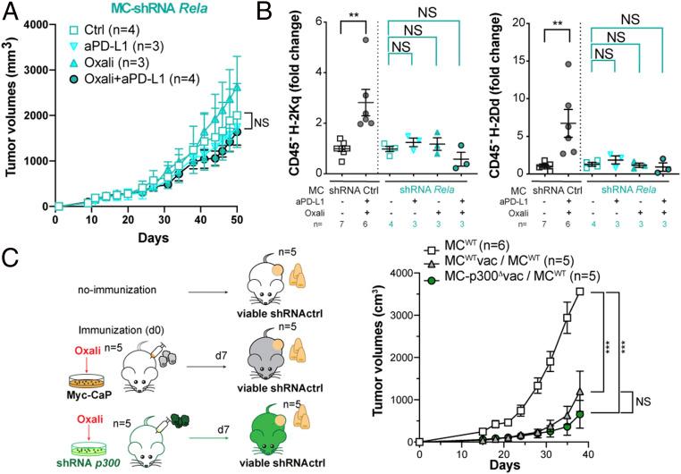 https://cdn.ncbi.nlm.nih.gov/pmc/blobs/754e/7923353/4813491b5baf/pnas.2025840118fig08.jpg