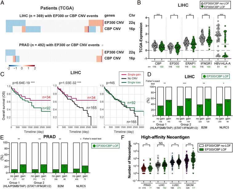 https://cdn.ncbi.nlm.nih.gov/pmc/blobs/754e/7923353/8145beafef1e/pnas.2025840118fig05.jpg