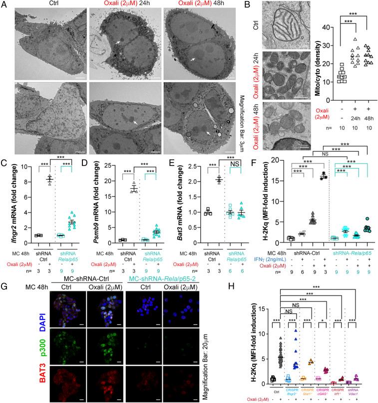 https://cdn.ncbi.nlm.nih.gov/pmc/blobs/754e/7923353/8971e9df3cc1/pnas.2025840118fig06.jpg