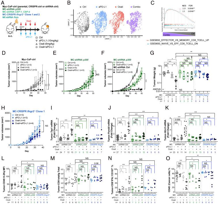 https://cdn.ncbi.nlm.nih.gov/pmc/blobs/754e/7923353/8bbb01d92c09/pnas.2025840118fig07.jpg