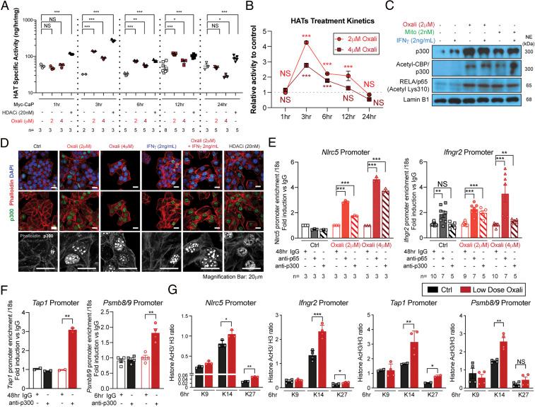 https://cdn.ncbi.nlm.nih.gov/pmc/blobs/754e/7923353/c48e9930c159/pnas.2025840118fig03.jpg