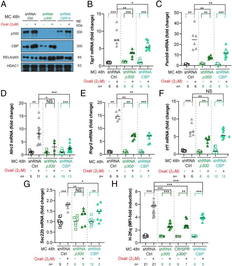 https://cdn.ncbi.nlm.nih.gov/pmc/blobs/754e/7923353/d609332499dc/pnas.2025840118fig04.jpg