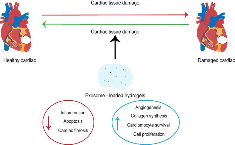 https://cdn.ncbi.nlm.nih.gov/pmc/blobs/754f/11270122/90c87e15b26d/2153-8174-25-6-222-g2.jpg