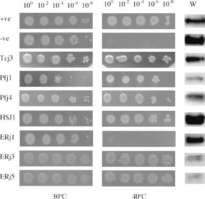 https://cdn.ncbi.nlm.nih.gov/pmc/blobs/7550/1906734/bd0b413fd175/gr3.jpg