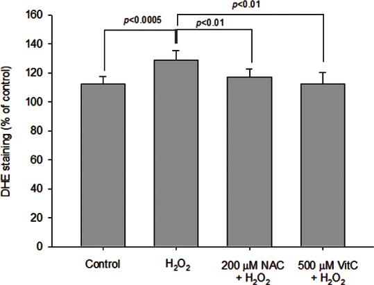 https://cdn.ncbi.nlm.nih.gov/pmc/blobs/7551/3654843/9332322d0143/mv-v19-927-f5.jpg