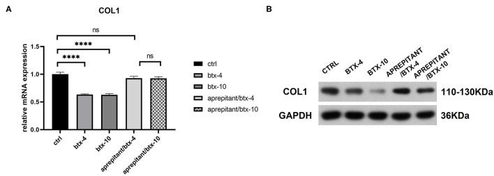 https://cdn.ncbi.nlm.nih.gov/pmc/blobs/7551/8927735/caca6e36fb33/fmed-09-820817-g0006.jpg