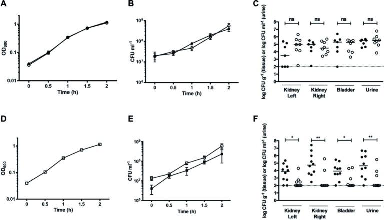 https://cdn.ncbi.nlm.nih.gov/pmc/blobs/7552/7005491/4bdfc7050fbd/fmicb-11-00026-g007.jpg
