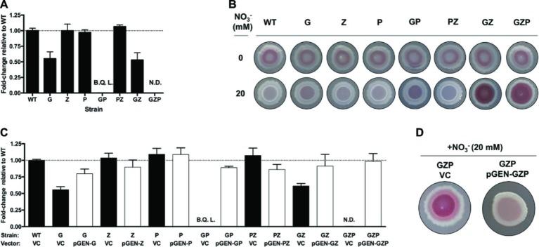 https://cdn.ncbi.nlm.nih.gov/pmc/blobs/7552/7005491/c5bdfa224fd3/fmicb-11-00026-g001.jpg