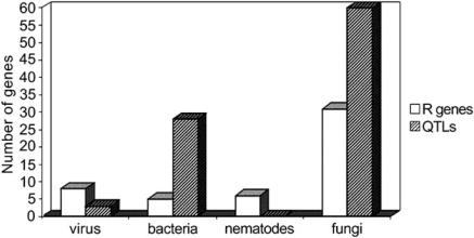https://cdn.ncbi.nlm.nih.gov/pmc/blobs/7555/2699839/4fb057a24821/CG-10-1_F2.jpg