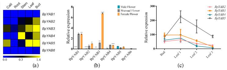 https://cdn.ncbi.nlm.nih.gov/pmc/blobs/7555/8836020/1113279edc67/ijms-23-01670-g004.jpg