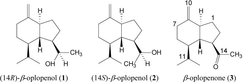 https://cdn.ncbi.nlm.nih.gov/pmc/blobs/7556/6245337/a9e47c70b1f3/molecules-13-01004-g001.jpg