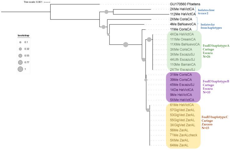 https://cdn.ncbi.nlm.nih.gov/pmc/blobs/7558/10673204/59c0f6c139be/microorganisms-11-02732-g003.jpg