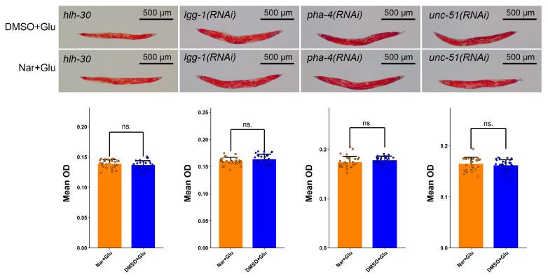 https://cdn.ncbi.nlm.nih.gov/pmc/blobs/7558/9961211/9939b9374995/nutrients-15-00907-g006.jpg
