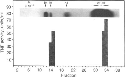 https://cdn.ncbi.nlm.nih.gov/pmc/blobs/755b/391265/9cb43c508296/pnas00359-0281-c.jpg