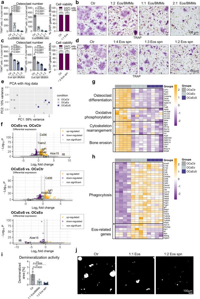 https://cdn.ncbi.nlm.nih.gov/pmc/blobs/755d/10844633/07721cb04827/41467_2024_45261_Fig3_HTML.jpg