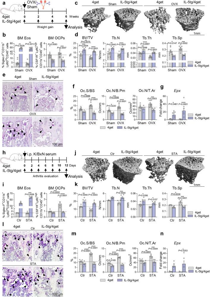https://cdn.ncbi.nlm.nih.gov/pmc/blobs/755d/10844633/42bae9c20a33/41467_2024_45261_Fig6_HTML.jpg