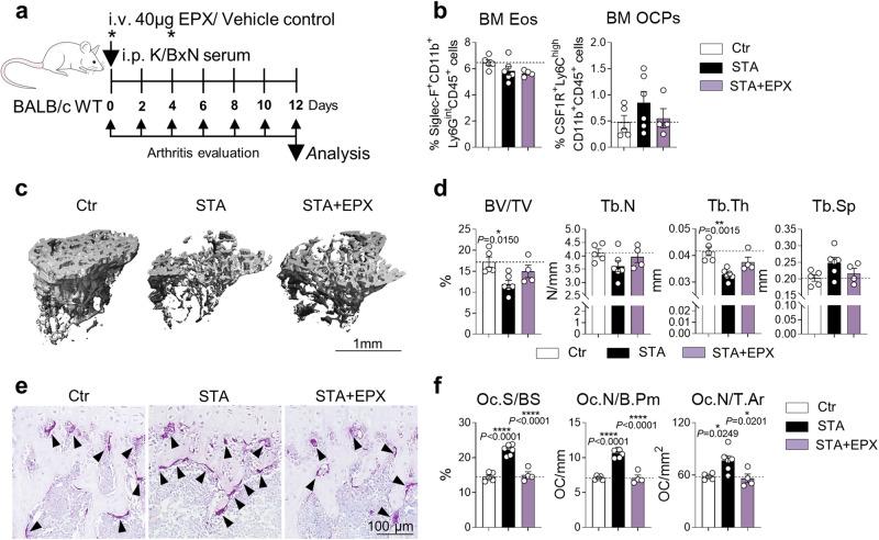 https://cdn.ncbi.nlm.nih.gov/pmc/blobs/755d/10844633/a88a0476e83f/41467_2024_45261_Fig7_HTML.jpg