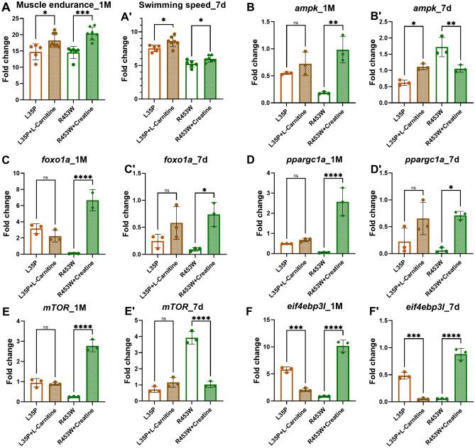 https://cdn.ncbi.nlm.nih.gov/pmc/blobs/755d/11150447/5acd058a932e/41598_2024_63711_Fig7_HTML.jpg