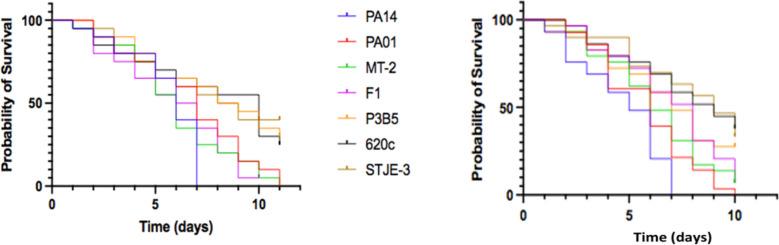https://cdn.ncbi.nlm.nih.gov/pmc/blobs/755d/12137457/1446796848de/253_2025_13518_Fig5_HTML.jpg