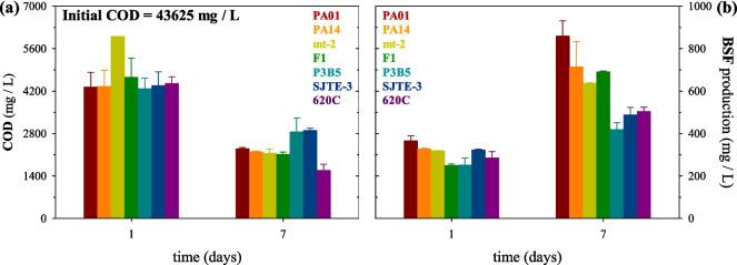 https://cdn.ncbi.nlm.nih.gov/pmc/blobs/755d/12137457/76794a4b5044/253_2025_13518_Fig2_HTML.jpg