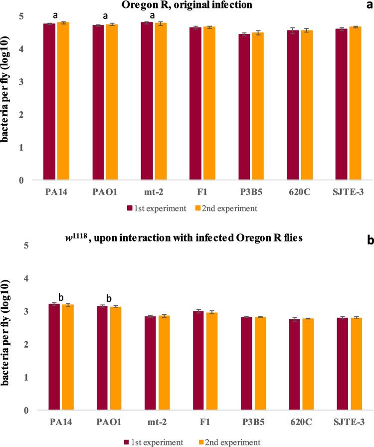 https://cdn.ncbi.nlm.nih.gov/pmc/blobs/755d/12137457/beadeb208f13/253_2025_13518_Fig4_HTML.jpg