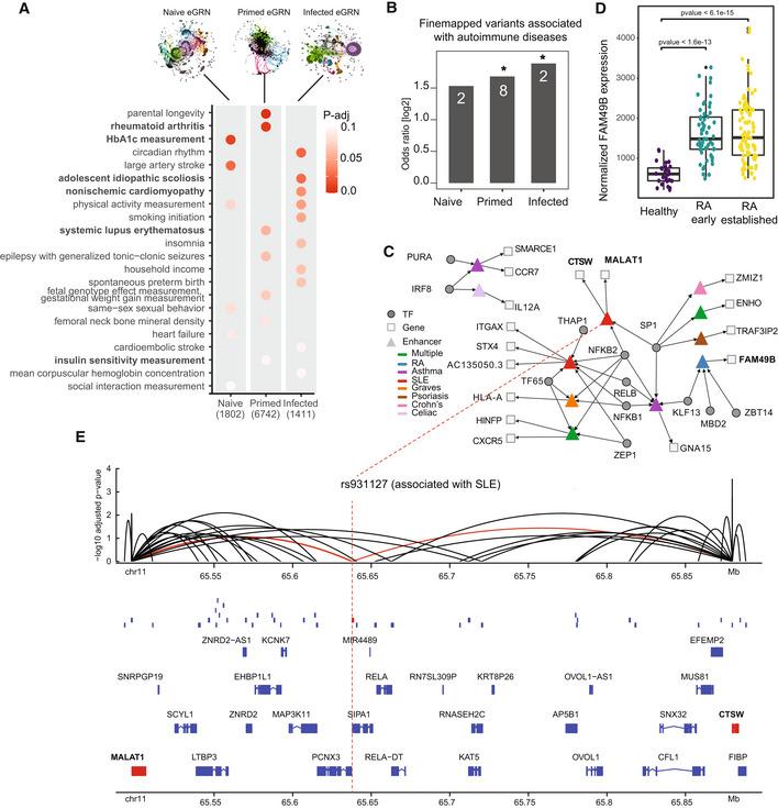 https://cdn.ncbi.nlm.nih.gov/pmc/blobs/755f/10258561/05ec4052ce7a/MSB-19-e11627-g006.jpg