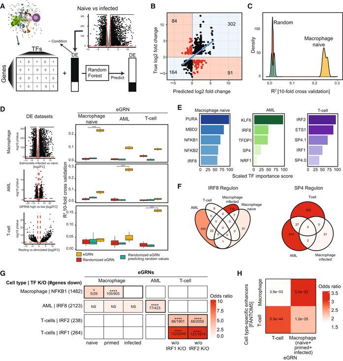 https://cdn.ncbi.nlm.nih.gov/pmc/blobs/755f/10258561/2f9e1716180c/MSB-19-e11627-g005.jpg
