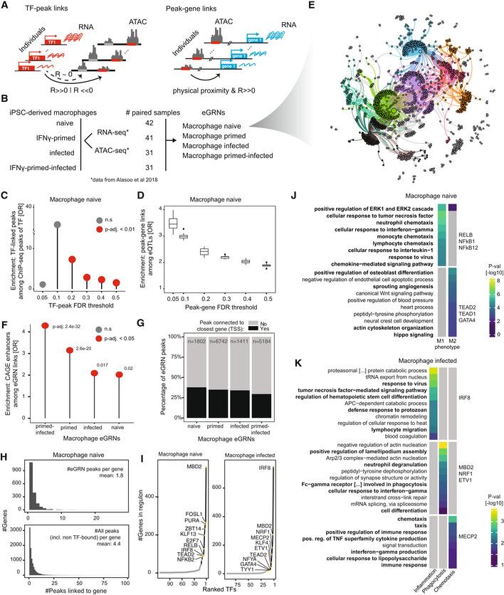 https://cdn.ncbi.nlm.nih.gov/pmc/blobs/755f/10258561/9359cec71a56/MSB-19-e11627-g007.jpg